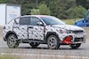 Spyshots Dodge Hornet