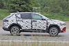 Spyshots Dodge Hornet