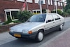 In het Wild Dodge Ram Van Citroën BX Leader