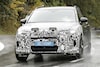 Spyshots Cupra Terramar