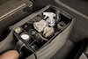 Alfa Romeo Tonale Bambini