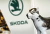 Skoda 1 april