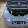Carice TC2