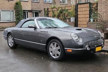 Ford Thunderbird In het Wild