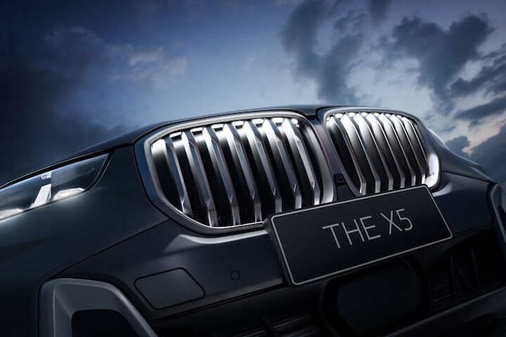 BMW X5 L