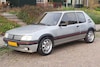 In het wild Peugeot 205 GTI (1989)