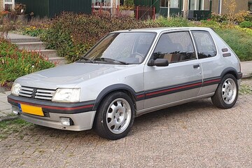 In het wild Peugeot 205 GTI (1989)