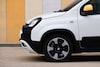 Fiat Pandina