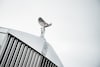 Rolls-Royce Silver Shadow