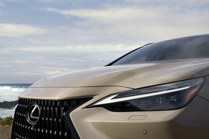 Lexus NX Overtrail