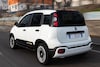 Fiat Panda Pandina