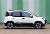 Fiat Panda Pandina