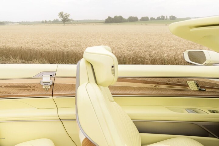 Cadillac Sollei