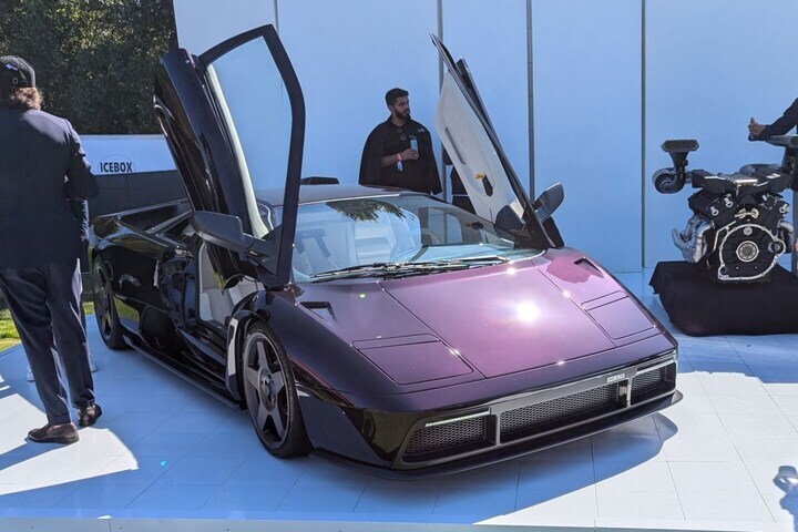 The Quail 2024
