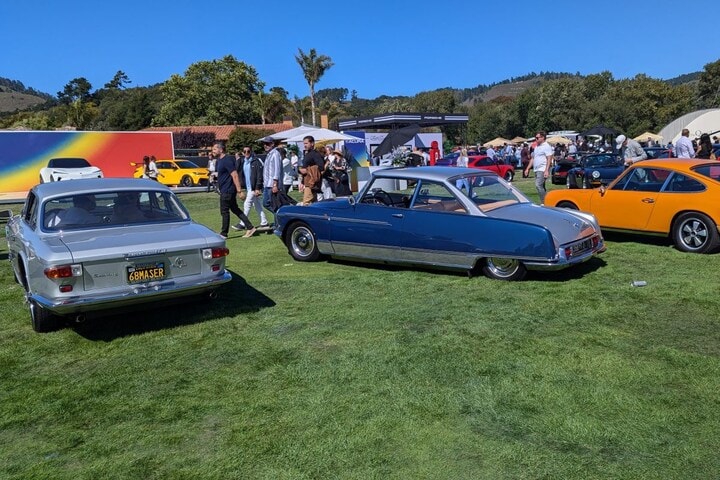 The Quail 2024