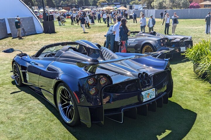 The Quail