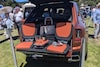 The Quail 2024