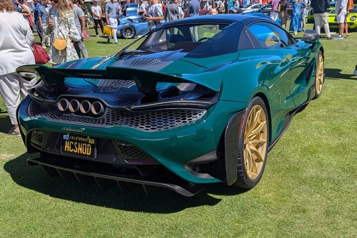 The Quail 2024