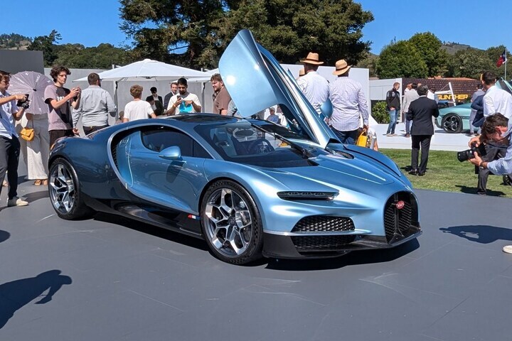 The Quail 2024