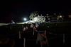 Pebble Beach 2024 Dawn Patrol