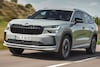 Skoda Kodiaq Sportline Business