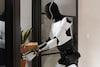 Tesla Optimus Robot