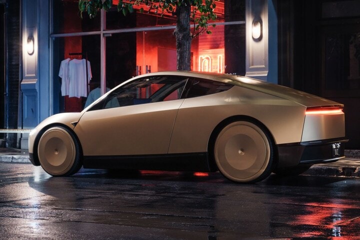 Tesla Robotaxi