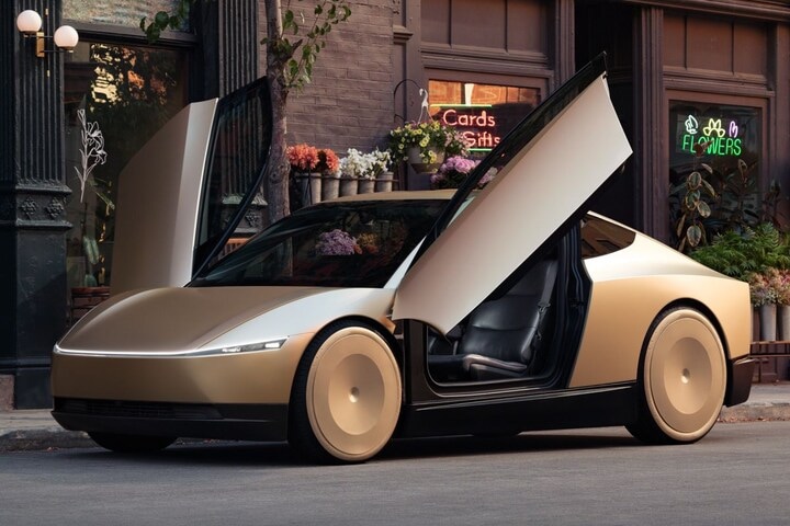 Tesla Robotaxi
