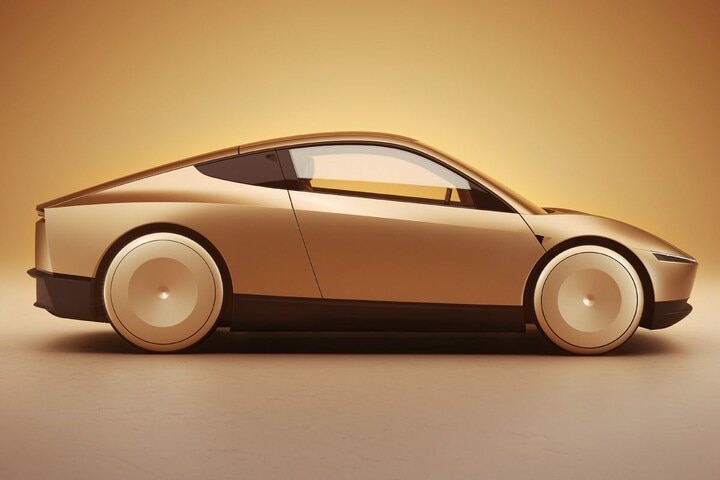Tesla Robotaxi