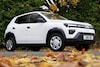 Dacia Spring Cargo
