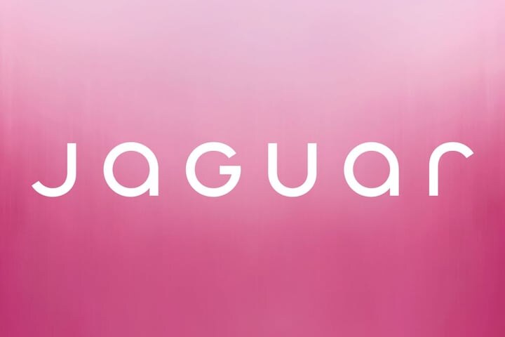 Jaguar identiteit campagne