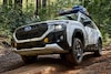 Subaru Forester Wilderness