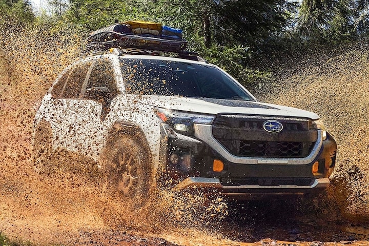 Subaru Forester Wilderness