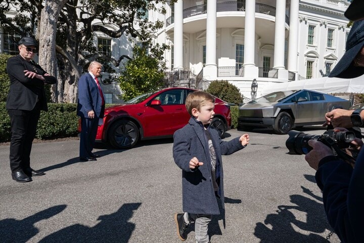 Donald Trump Tesla Musk