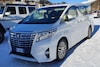 Toyota Alphard Horacio Pagani