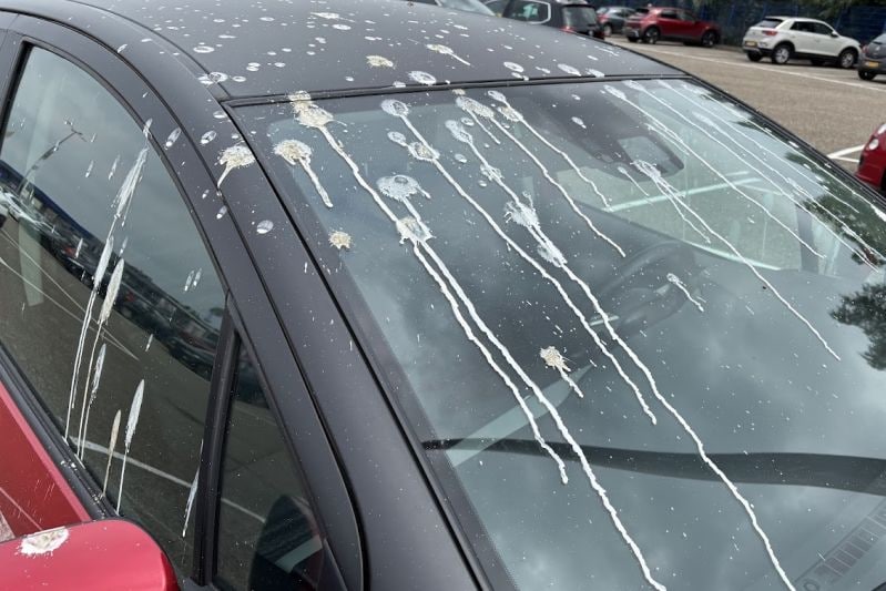 Vogelpoep op auto