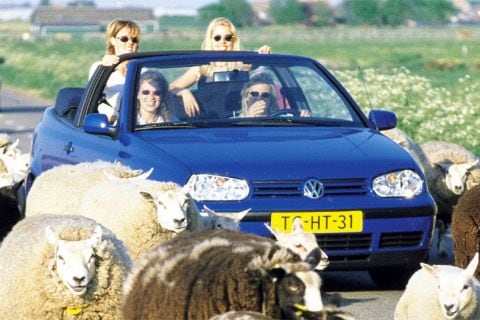 Volkswagen Golf Cabriolet 1.8 75pk Trendline (1999)