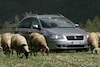 Fiat Croma