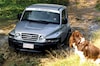 Ssang Yong Korando