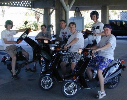 Kakkerlakken van de weg