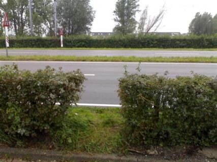 Flitsgat