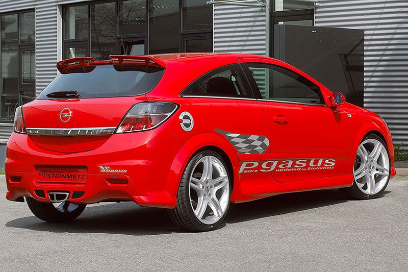 Steinmetz P.Gasus