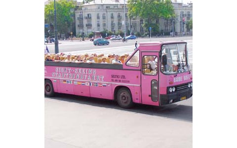 cabrio bus