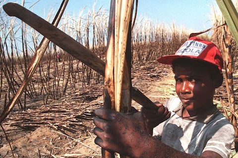 Nederland doorvoerhaven Braziliaanse biobrandstof