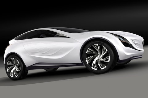 Lelijk eendje wordt mooie zwaan