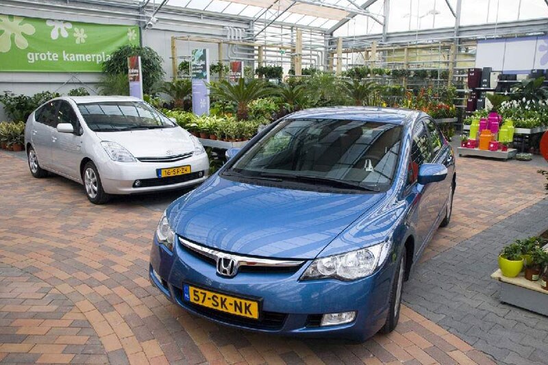 Hybrides bij het tuincentrum