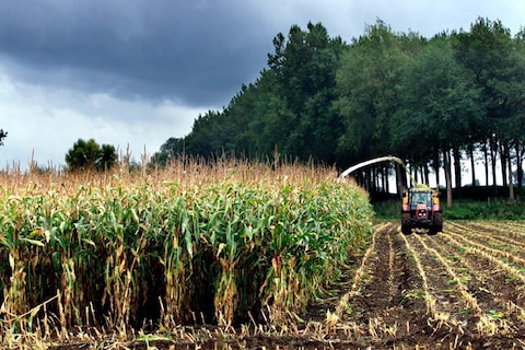 Kabinet stelt doelstellingen biobrandstoffen bij