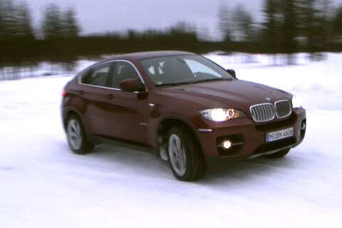 Zwieren op de poolcirkel