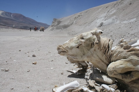Dakar: de laatste loodjes