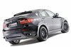Hamann Tycoon